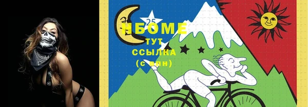 СК Кукмор