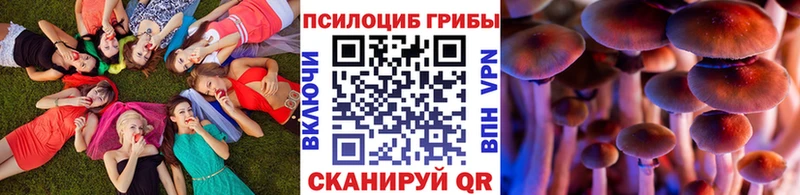 Галлюциногенные грибы Magic Shrooms  Купить  Ленинск-Кузнецкий 