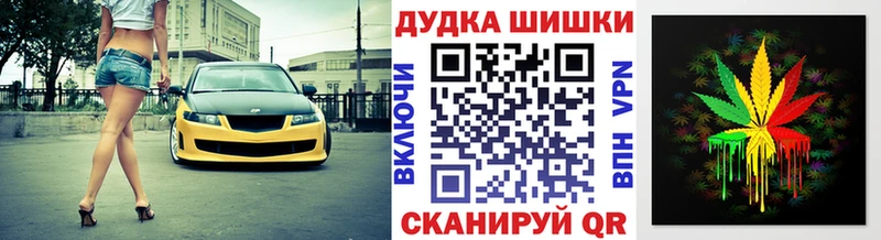 Конопля план  Купить  Ленинск-Кузнецкий 